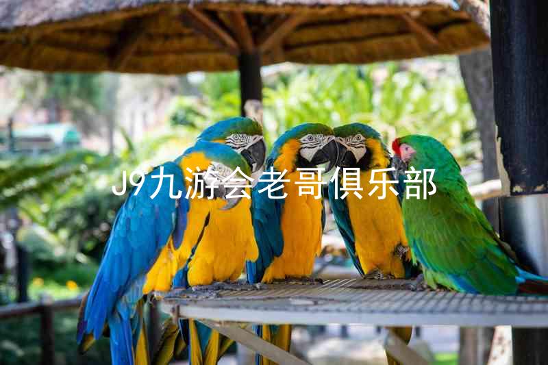 J9九游会老哥俱乐部